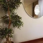 Vivenda Oliveira - Local Сasa de vacaciones Lamego