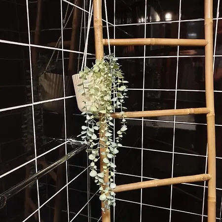 Vivenda Oliveira - Local