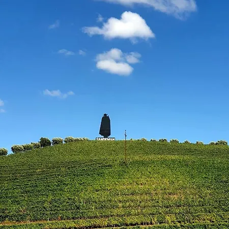 Vivenda Oliveira - Local * Lamego
