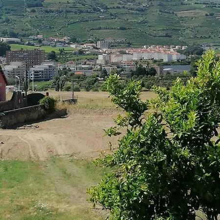 Vivenda Oliveira - Local Holiday home Lamego