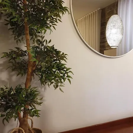 Vivenda Oliveira - Local Сasa de vacaciones Lamego