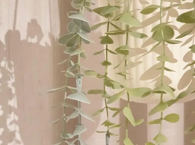 度假居 Vivenda Oliveira - Local