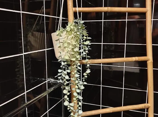 Vivenda Oliveira - Local