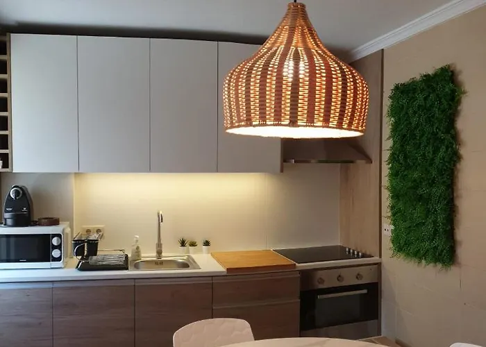 Vivenda Oliveira - Local 拉梅戈